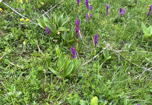 23-05-21 10-43-59 5509